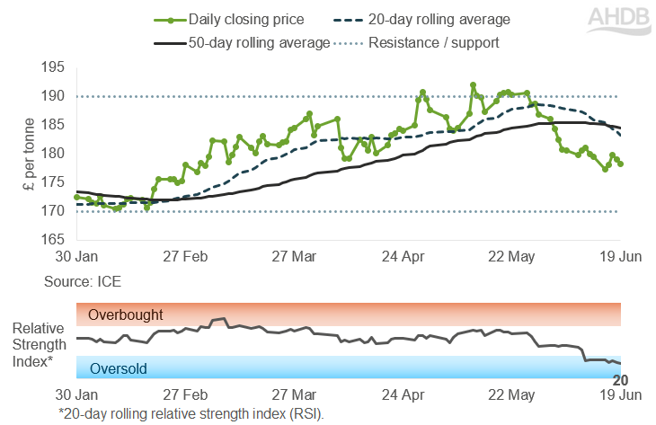 Line graph of UK feed futures Nov-26 contract prices over the past six months.